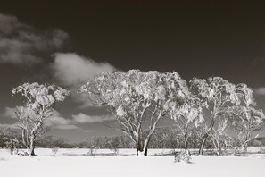 Exterior - CURRAWONG COTTAGE - Family holiday haven Mountain views large bedrooms (Talbingo)
