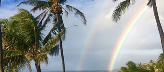 OCEANFRONT - TWO OCEANVIEW  bedrooms - 20 feet from water - Kanai a Nalu 401