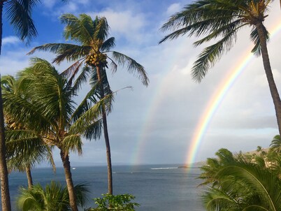 OCEANFRONT - TWO OCEANVIEW bedrooms - 20 feet from water - Kanai a Nalu 401