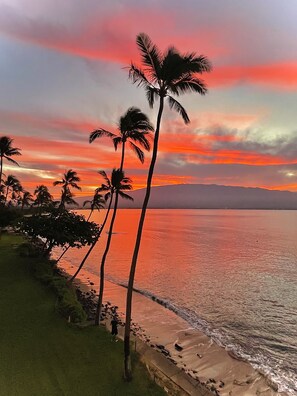 On the beach, sun loungers, beach towels