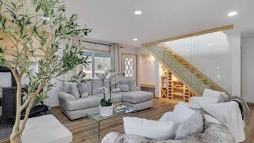 Smart TV, fireplace, video games, DVD player