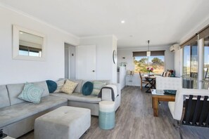 Smart TV, fireplace, DVD player, video library