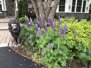 A garden with a lion statue, purple flowers, and a stone building in the background.