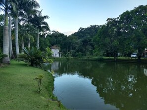 Property grounds - Forest site - Santa Teresa - ES (Santa Teresa)