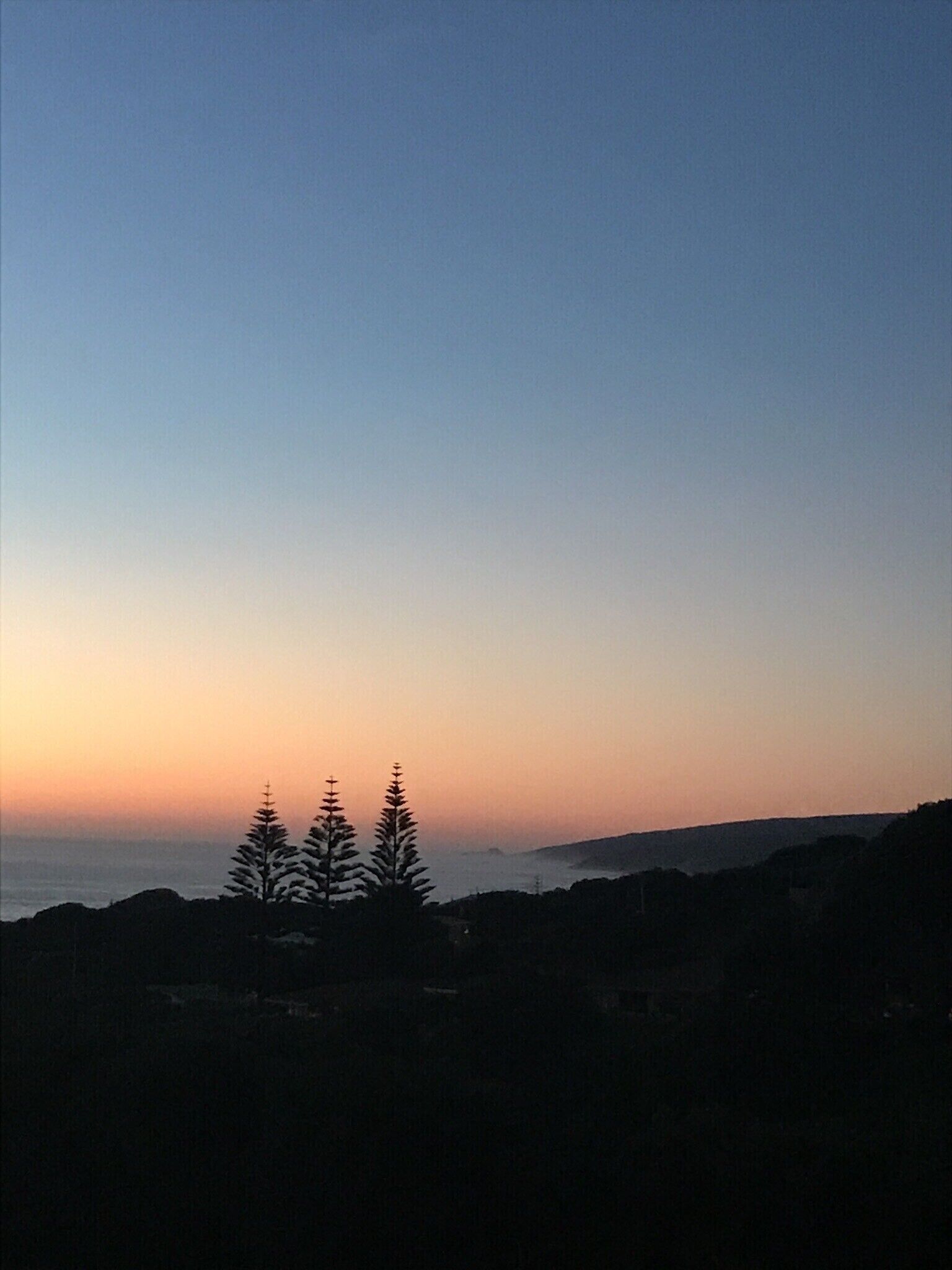 Ein Sonnenuntergang mit Baum-Silhouetten und einer entfernten Landschaft.