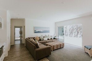 智能电视、壁炉、电子游戏、DVD 播放器