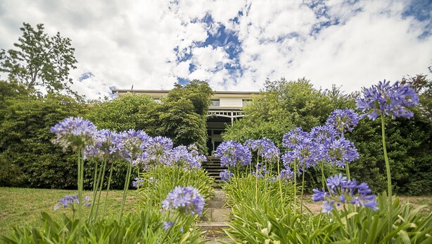 A pathway leading to a building surrounded by lush greenery and purple flowers.