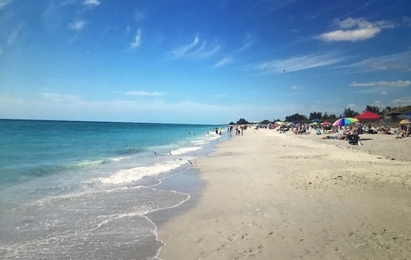 Tumbonas y toallas de playa