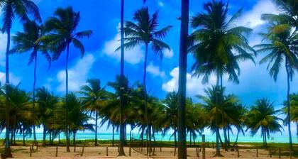 PAIVA-VARAUKSET - PARHAIN PAIKKA PERUUTUMISEKSI