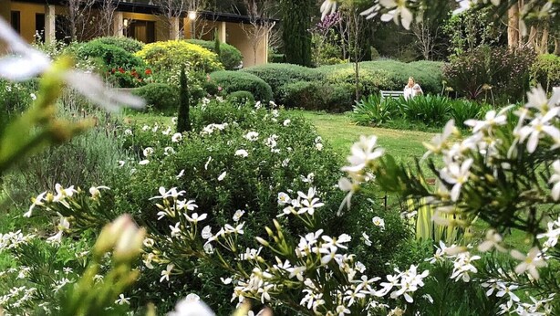 Un jardín bien cuidado con setos podados y plantas florecientes, un sendero y un edificio al fondo.