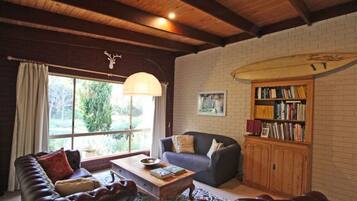 Télévision, cheminée, livres