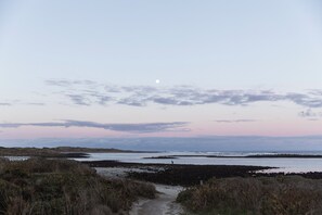 Escape to a serene coastal haven with a tranquil path through natural surroundings and a rocky shoreline.