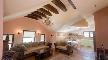 Smart-tv, een open haard, een dvd-speler en een muziekbibliotheek