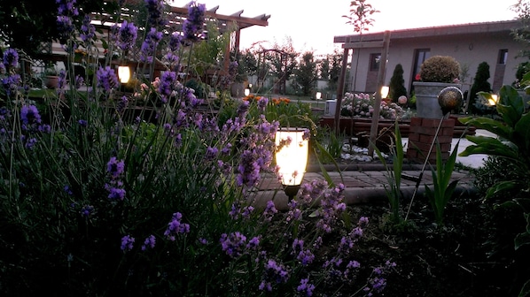 Property grounds - Apartment Vila Ramona (Otopeni)