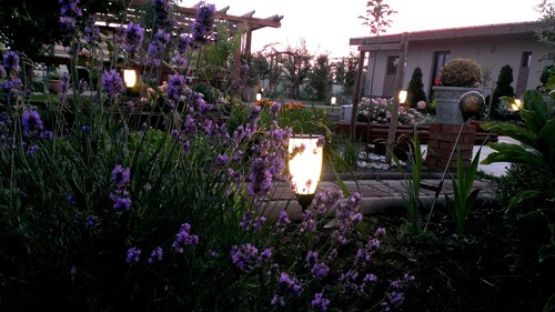 Apartment Vila Ramona