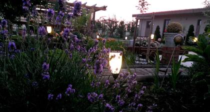 Apartment Vila Ramona