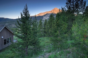Un paysage de montagne avec un chalet et une forêt dense.
