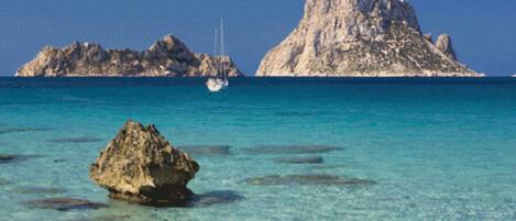 在海灘附近、沙灘巾