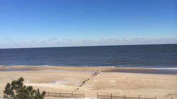 On the beach, sun-loungers