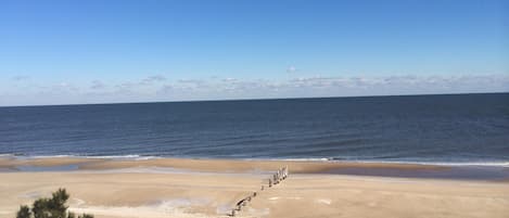 On the beach, sun-loungers