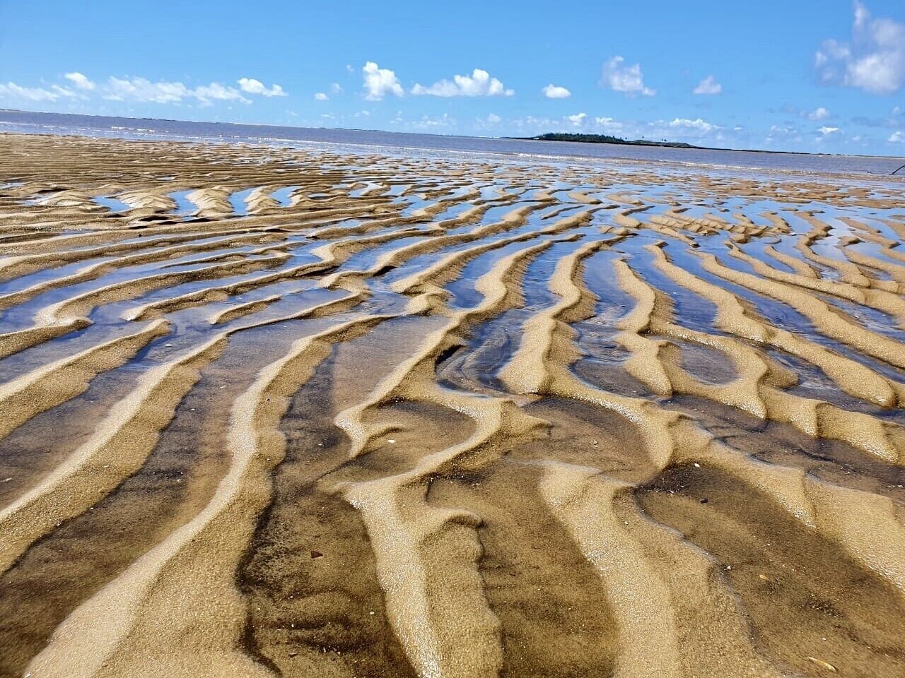 En la playa y toallas de playa 