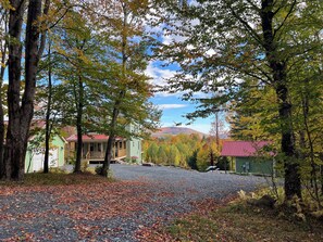 Et boligområde med grusvej, huse med røde tage og træer med efterårsblade.