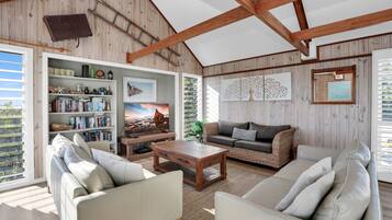 TV, DVD player, books, video library