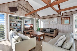 TV, DVD player, books, video library