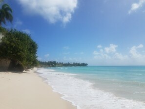 Serviettes de plage