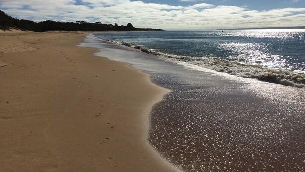 Ein Strand mit breitem Sandufer, sanften Wellen und blauem Himmel.