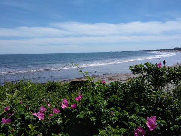 Plage à proximité, chaises longues