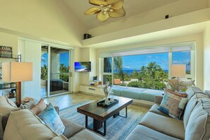TV, DVD player, books, music library
