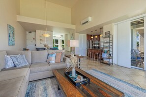 TV, DVD player, books, music library