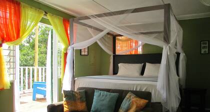 The Best Place To Stay In Kingston