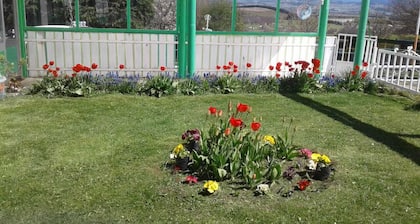 GemĂŒtliche HĂŒtten in einem patagonischen Bauernhof