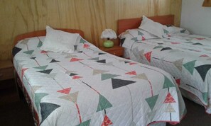 4 slaapkamers, een strijkplank/strijkijzer, wifi, rolstoeltoegang
