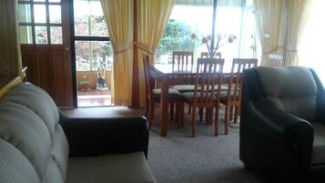 电视、DVD 播放器、书