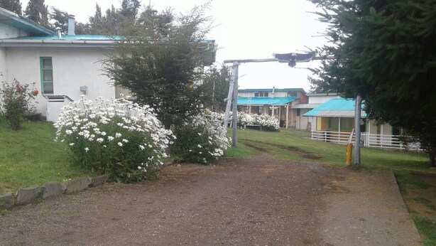 En landlig indkørsel fører til en hvid bygning med grønt tag, omgivet af hvide blomsterbuske og et træhegn.