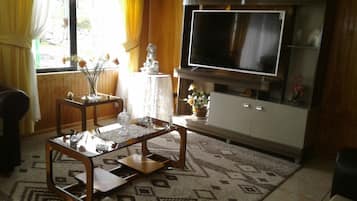 TV, DVD player, books