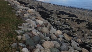 På stranden, solsenger og strandhåndklær