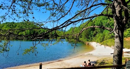 Agosto NITE GRATIS con 5Huge Log Home LAGO, PLAYA, RÍO, cascadas, mascotas Asheville / Caminata