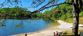 Aug GRATIS NITE m / 5Hog Log Home LAKE, STRAND, RIVER, vandfald, kæledyr Asheville / Hike