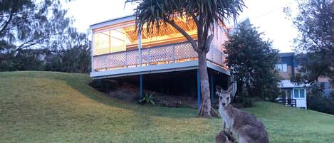 Jardines del alojamiento