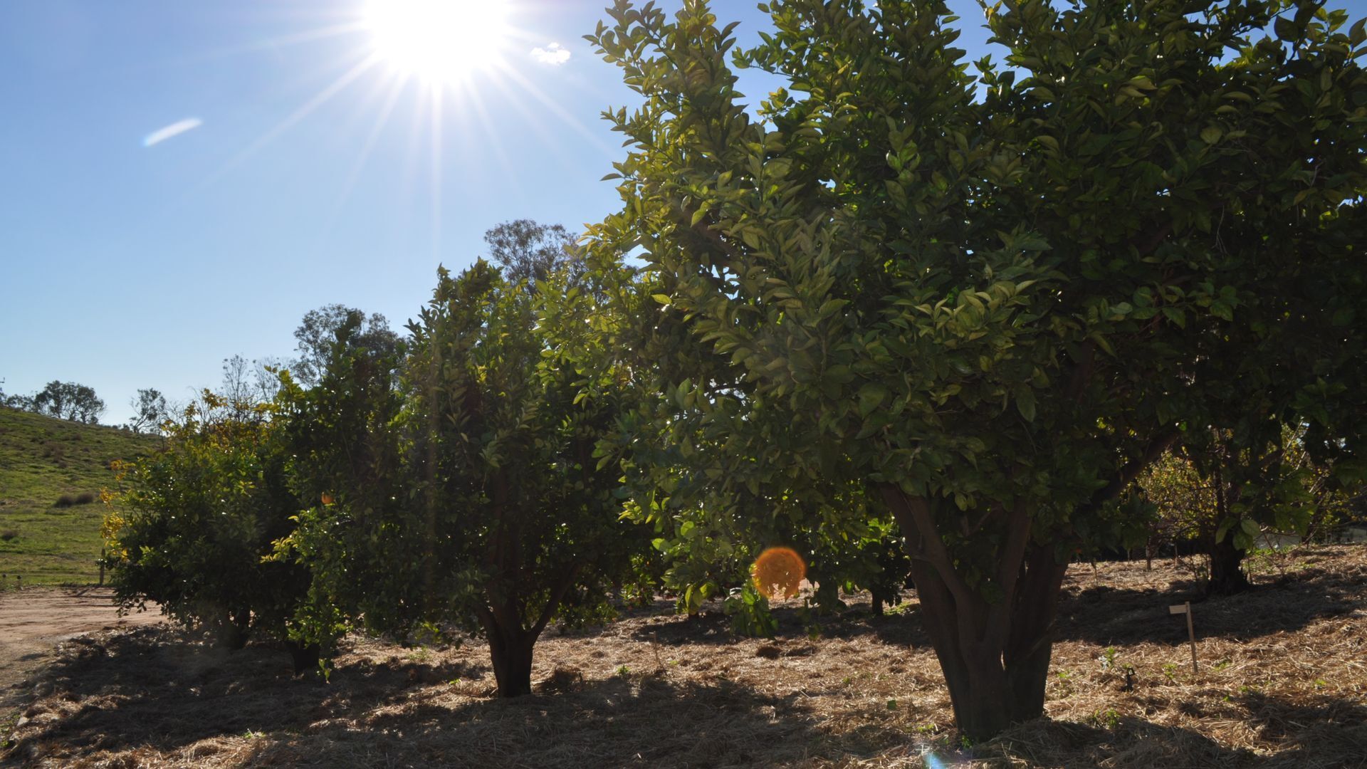 Loxton River Escape - Holiday home on the river — image 21