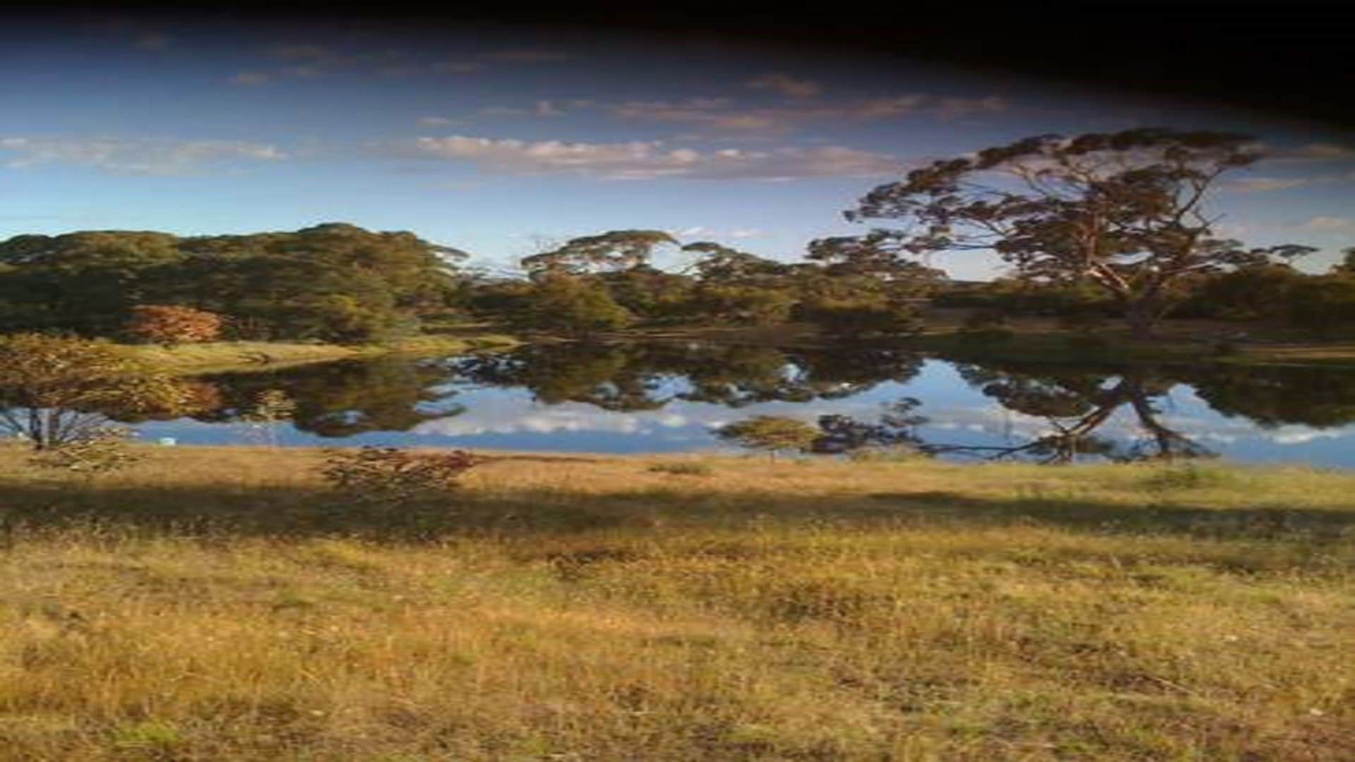 Wings Barossa Bird & Bush Retreat
