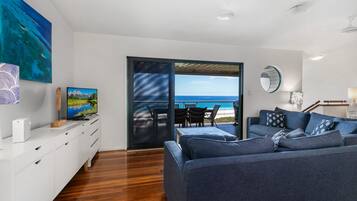 TV connectée, lecteur de DVD, livres, vidéothèque