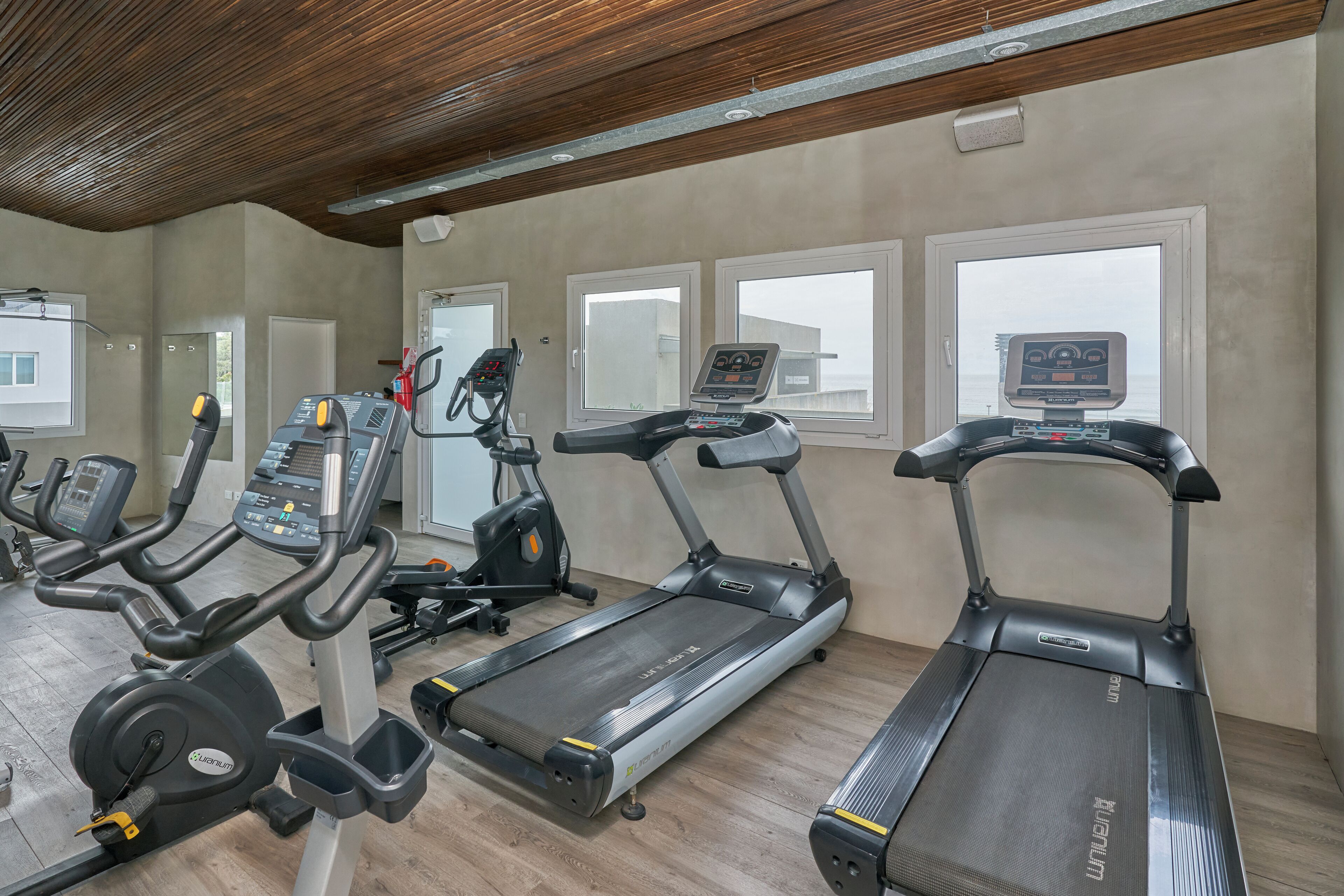 A gym with treadmills, ellipticals, and a rowing machine.