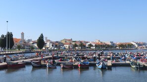 Enjoy waterfront activities at this marina, where boats are docked in a well-organized manner.