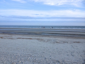 Playa en los alrededores, camastros y toallas de playa