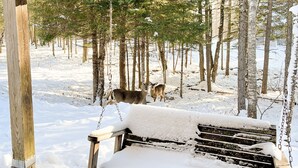 Una hamaca de madera colgada de un techo metálico, rodeada por un bosque nevado.